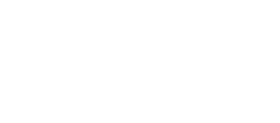 Casey - Logo