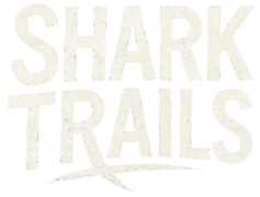 Shark Trail - Logo