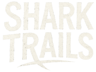 Shark Trail - Logo