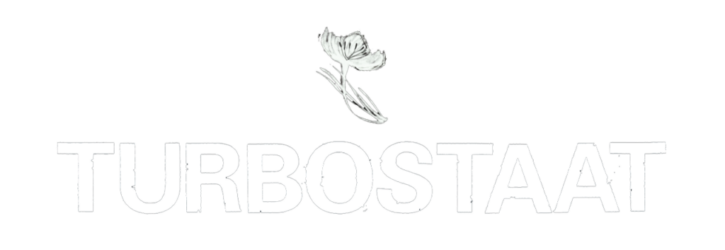 Turbostaat - Logo
